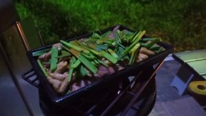 金華亭のほるもんの鉄板焼きとニラ