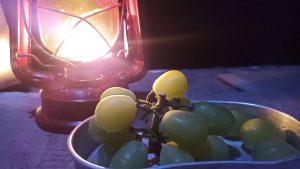 シャインマスカット