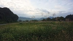 関川村周辺のキャンプ場