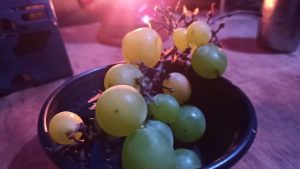 キャンプ地でシャインマスカット