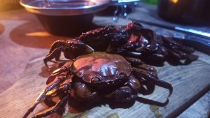 キャンプでモクズガニ