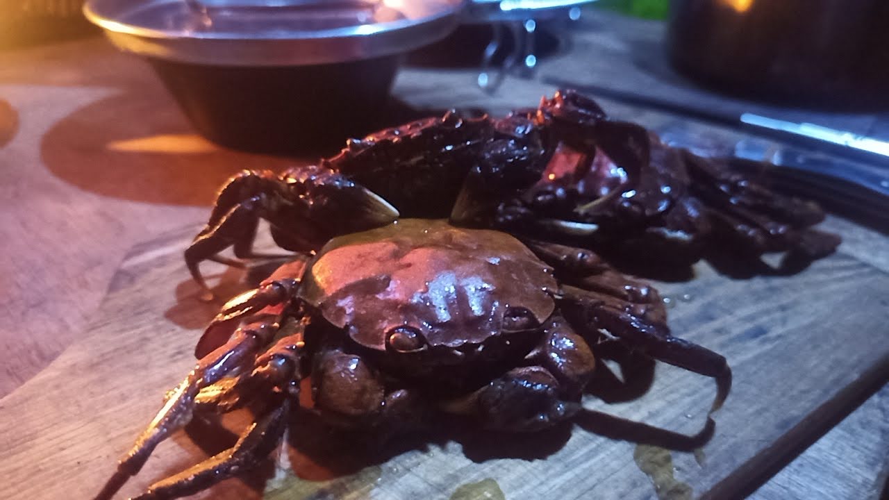 キャンプでモクズガニ