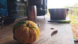 柚子とキャンプ地