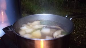 今夜のキャンプ飯はエビ鍋