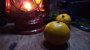 キャンプで柚子