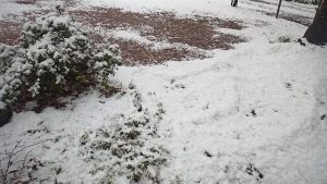 キャンプ地の初雪