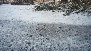 キャンプ地に降った雪