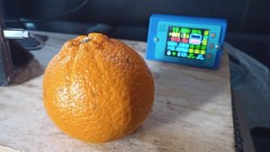 キャンプでポンカン