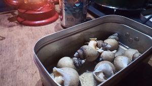 キャンプでバイ貝の酒蒸し