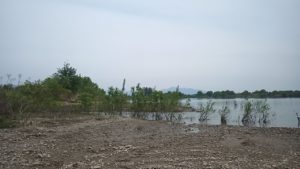 本日のキャンプ地