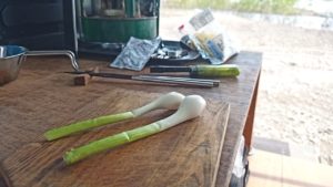 採れたての葉タマネギ