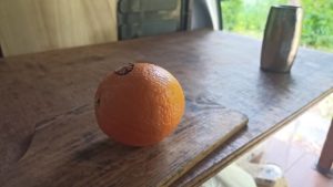 デザートのミカン