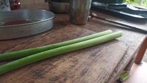 ニンニクの芽