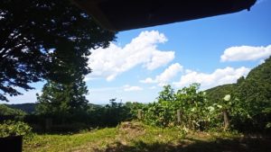 快晴のキャンプ地