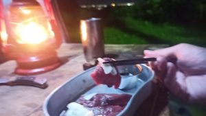 ウルグアイ産の馬刺し