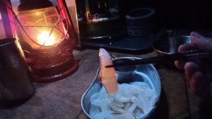 アオリイカのエンペラ