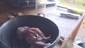 最後にアオリイカのゲソ