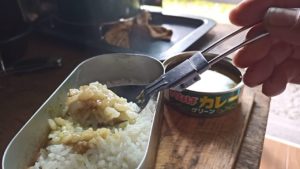 炊き立てご飯とグリーンカレー