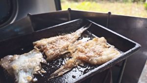 カレイのフライ