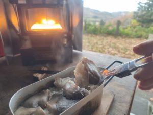 メスティンで炊いたヒラタケの炊き込みご飯