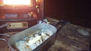 ダイソーメスティン1合で牡蠣飯