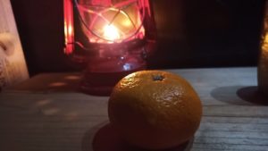 静岡県産のポンカン